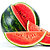 KüchenMarkt Fact Wassermelonen
