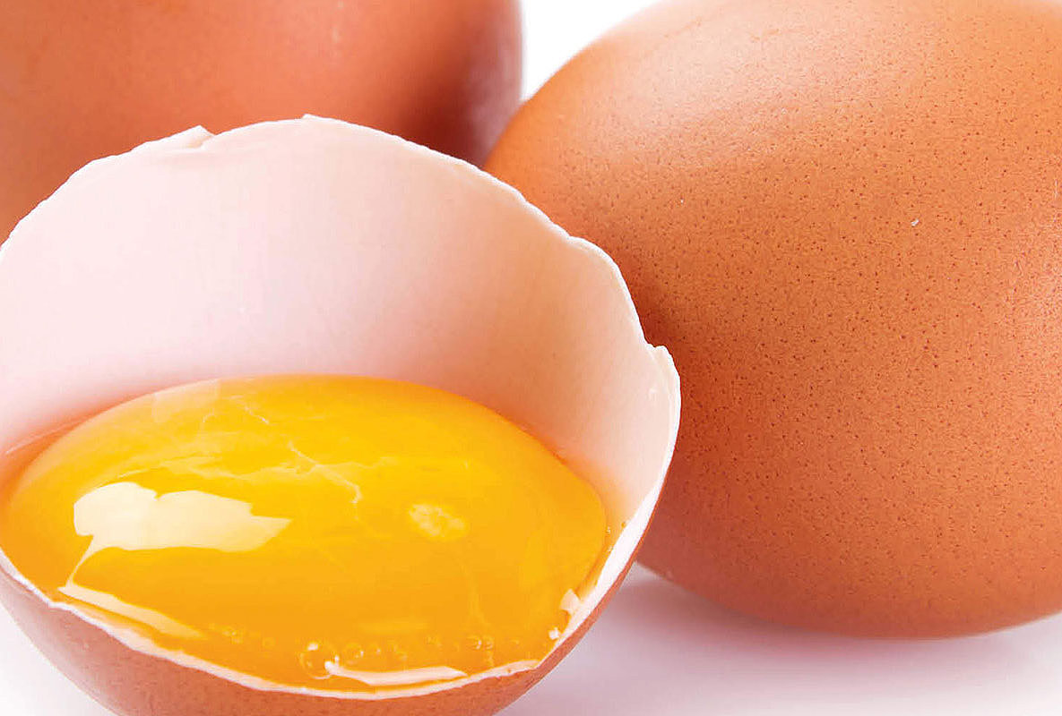KüchenMarkt Life Hack Eier richtig lagern