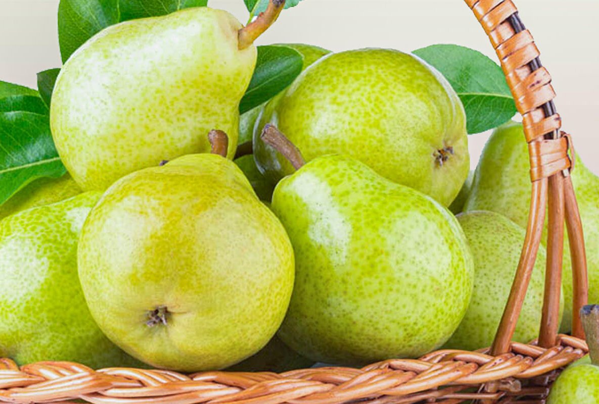 KüchenMarkt Obst und Gemüse Birnen