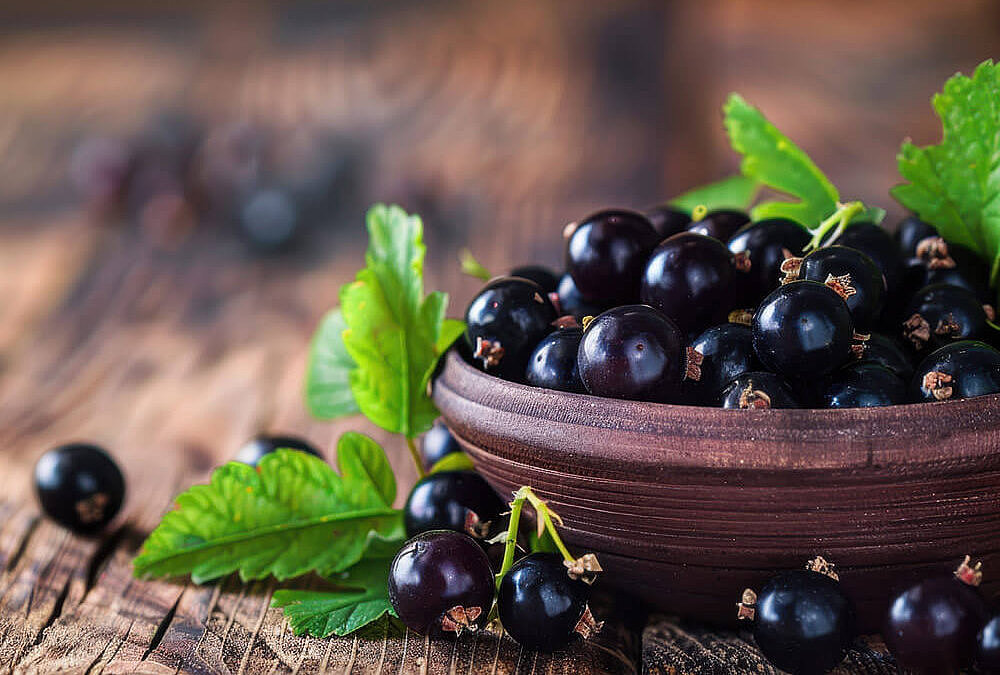 Dunkle, reife schwarze Johannisbeeren mit grünen Blättern in einer Schale. Vitamin C und Anthocyane.