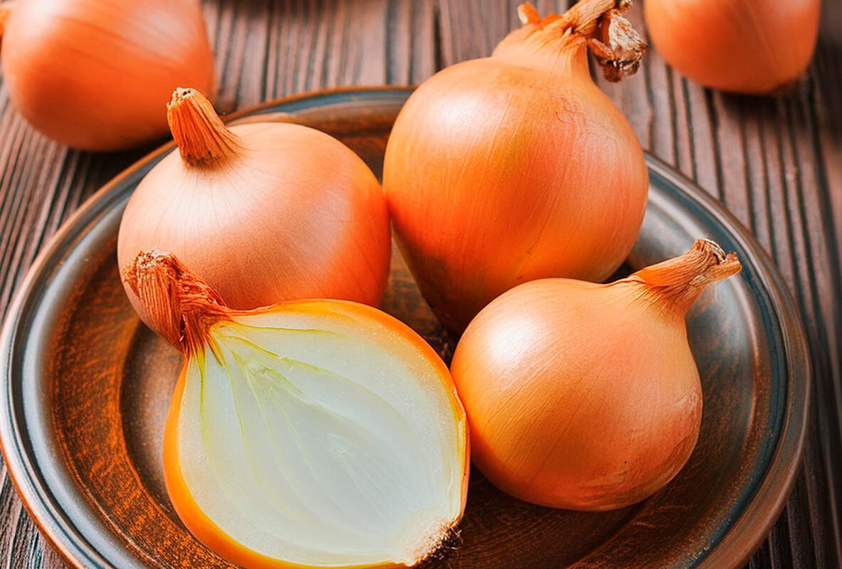 KüchenMarkt Obst und Gemüse Zwiebel