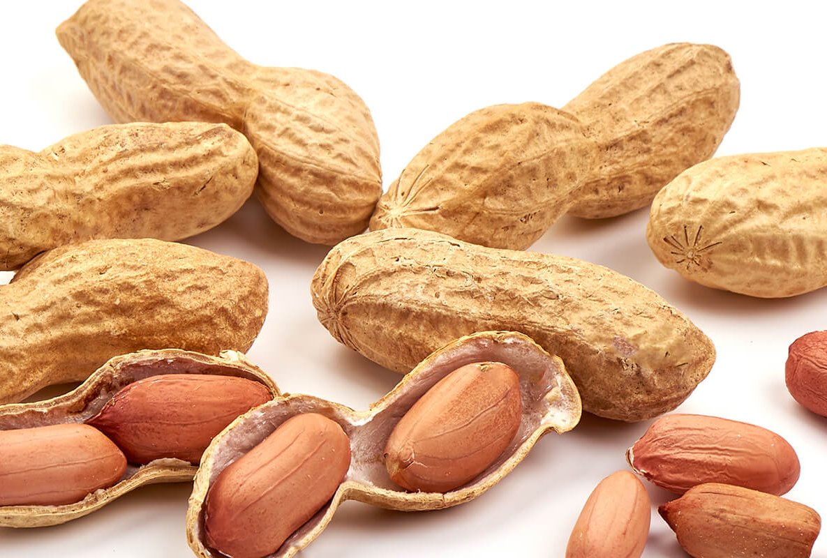 KüchenMarkt Experten-Tipp Erdnüsse geben Euch Power und Energie