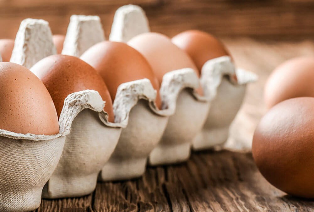 Eier im Karton im Kühlschrank lagern schützt vor Gerüchen