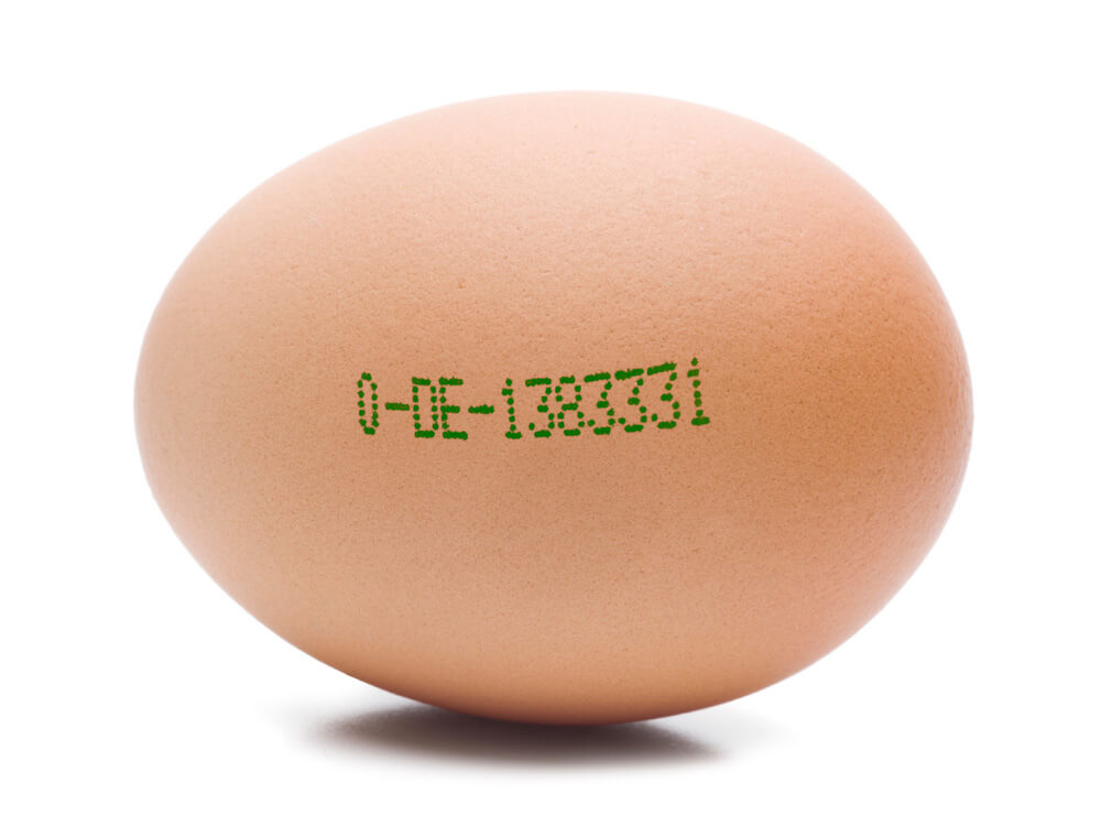 Ei mit Mindesthaltbarkeitsdatum zur Bestimmung der Haltbarkeit