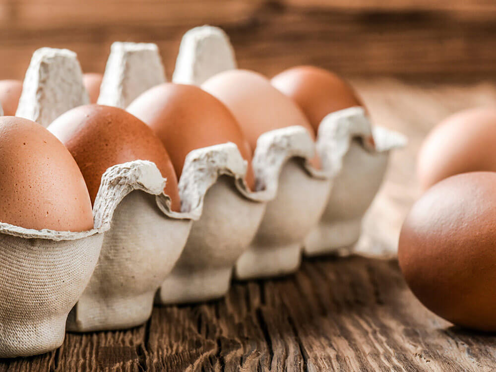 Eier im Karton im Kühlschrank lagern schützt vor Gerüchen