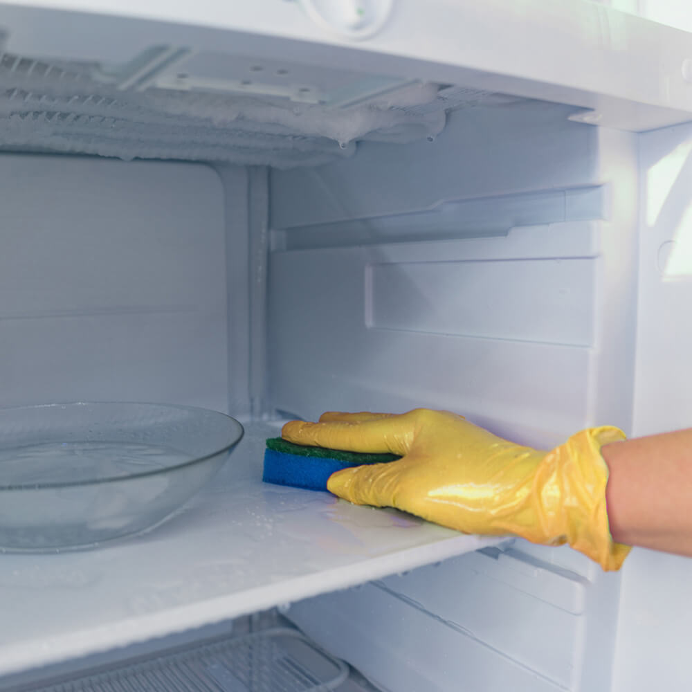 Gefrierschrank reinigen nach dem Abtauen – Innenraum mit Schwamm säubern
