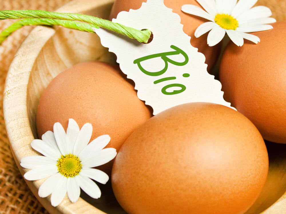 Bio-Eier in Holzschale mit Gänseblümchen & "Bio"-Etikett – nachhaltige & gesunde Wahl für Eure Küche.