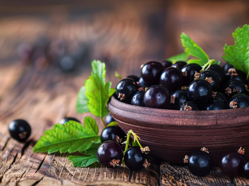 Dunkle, reife schwarze Johannisbeeren mit grünen Blättern in einer Schale. Vitamin C und Anthocyane.