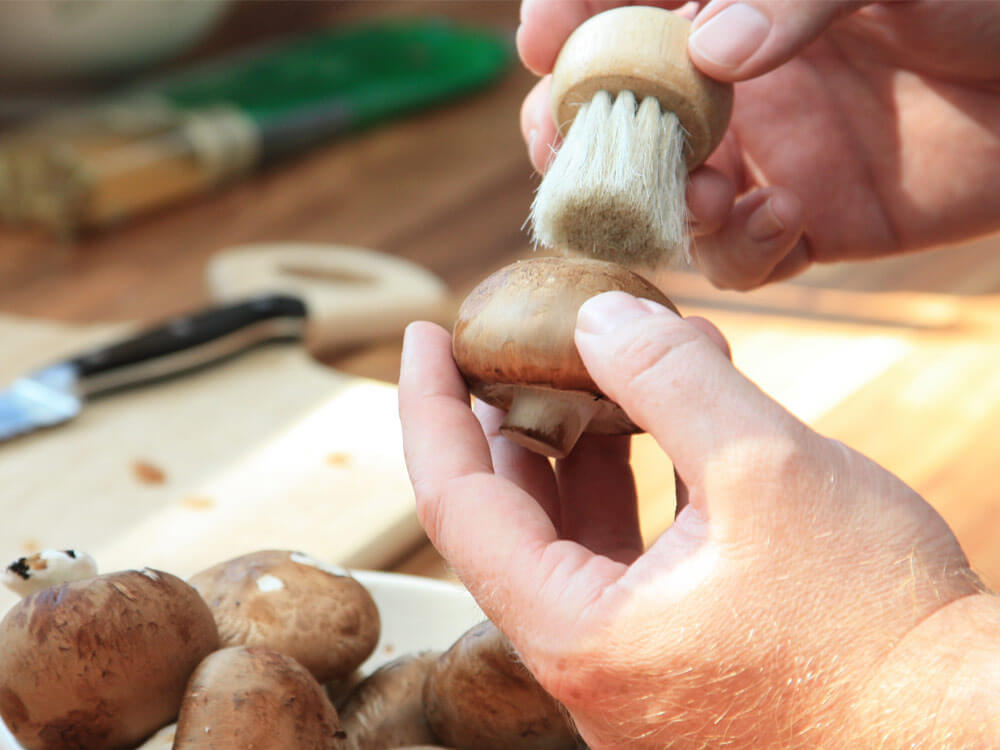 Braune Champignons werden mit einem Pilzpinsel vorsichtig gereinigt in Nahaufnahme