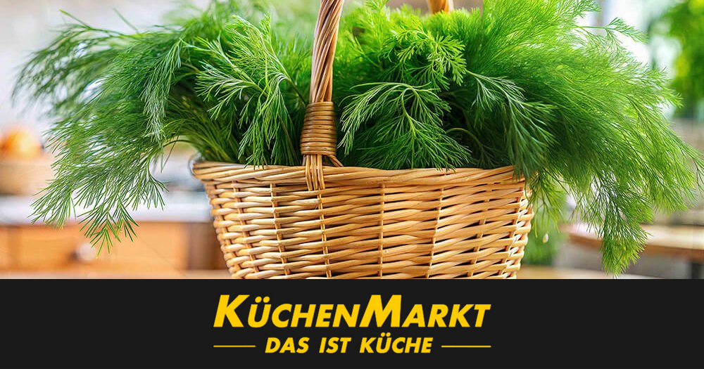 Dill: Gesundes Kraut fr Kche & Balkon - mehr als ein Gewrz